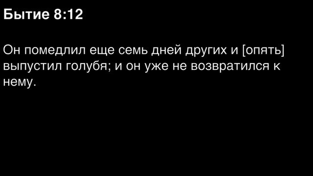 Бытие, глава 8