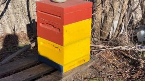 Пасека в январе. Аномальное тепло.