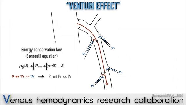 Russian Egyptian Venous Forum смотреть онлайн