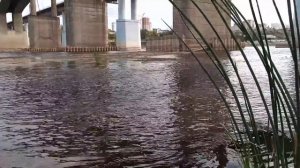 я погулял под мостом, у реки и заснял .Река обмельчала после засухи. Осень 2021.