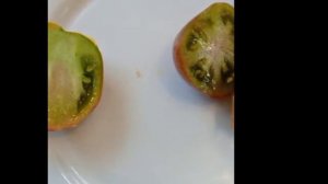 Обзор и дегустация томатов СЕРДЦЕ ЛУИДЖИ,гном ТЕНЕССИ СЬЮИД, гном ЛЮБОВЬ ОДРИ, гном МЯТНЫЕ ПОЛОСЫ