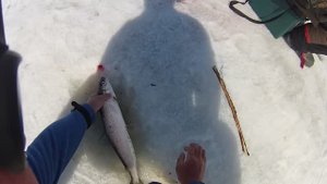 Весна 2019, последний лед на Чивыркуйском заливе