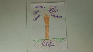 Что такое КОРЕНЬ слова. Как выделить корень. Как найти однокоренные слова.