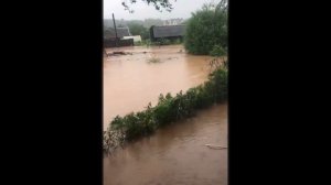 Чрезвычайная ситуация в Демянске. Новгородская область