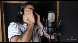 Губные гармошки и профессионалы