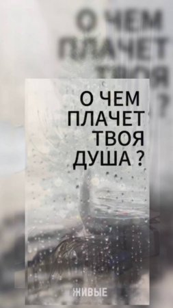 О чем плачет твоя душа