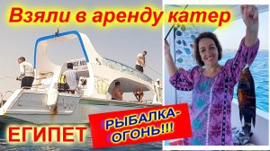 🔴Рыбалка в Египте РАЗРЕШЕНА!🔴Зубастые трофеи Красного моря🔴Яхта, рыбалка за 7$ с человека!🔴