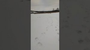 Рыбалка на жерлицы 31.12.2024г