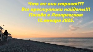 Что же строят в парке? Камелия цветет! А преступники все пойманы!  Погода в Лазаревском 12. января