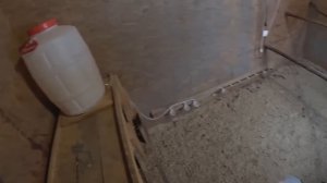 УЖАС ! ЖИВОТНЫЕ СТРАДАЮТ ! ФЕРМЕР НЕ КОРМИТ , А ВОЛКОДАВ ИХ УБИВАЕТ ! ХУТОР В ЛЕСУ №223