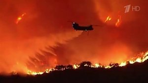 В Калифорнии из-за сильного ветра пожары стали превращаться в огненные торнадо