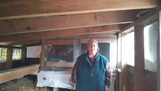 shtf survival skills food and guilt