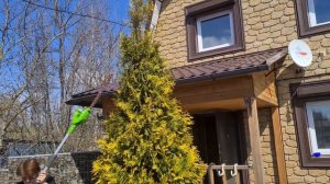 Веткорез и воздуходувка гринворкс