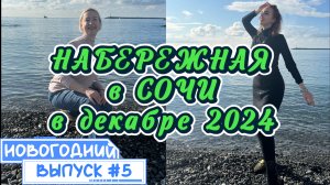 Новогодняя НАБЕРЕЖНАЯ в СОЧИ🎄 // Увидеть ДЕЛЬФИНОВ к УСПЕХУ 🐬 Загадываем желания на 2025 год🎉