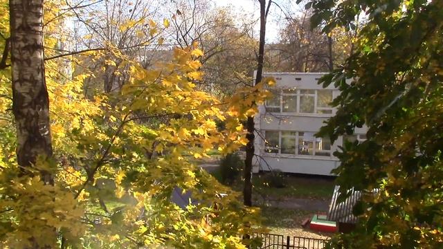 Золотая осень, золотая