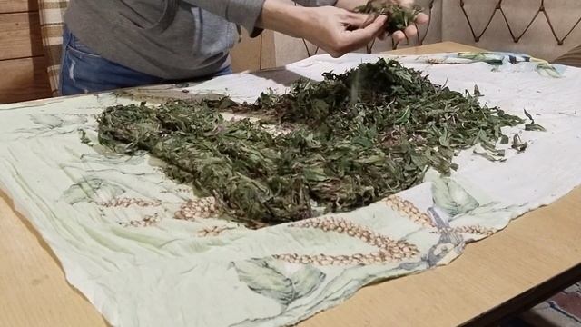 Ферментация иван-чая. Самый правильный способ.