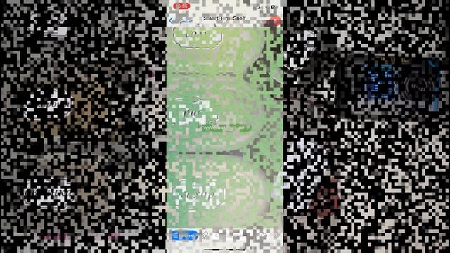 Умная полка. Старт в инновации 2024