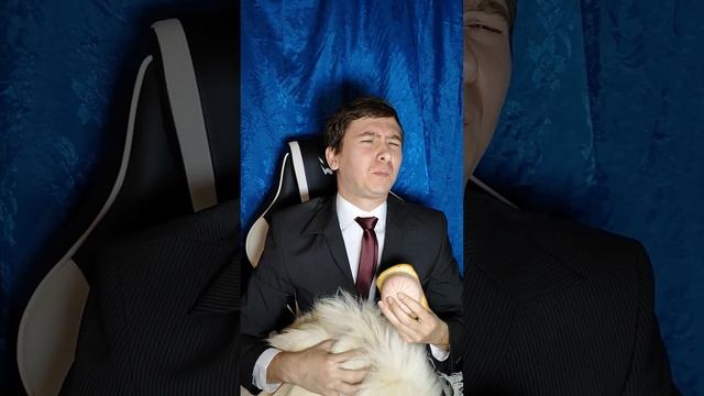 Мы не подводим итоги нового года, а выручаем #собака #пудель #ставрополь #dog #животные #шпиц #сочи