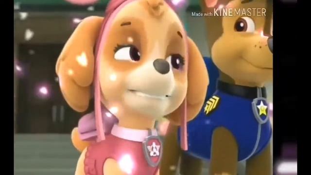 Гонщик и Скай (Кис Кис Кис Мяу Мяу) смотреть онлайн