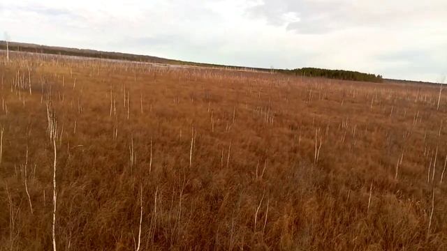 подготовка вездеход-трофи на васюганском болоте.