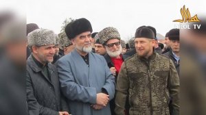 Qimiz Halolmi? Shayx Muhammad Sodiq Muhammad Yusuf @islomuz