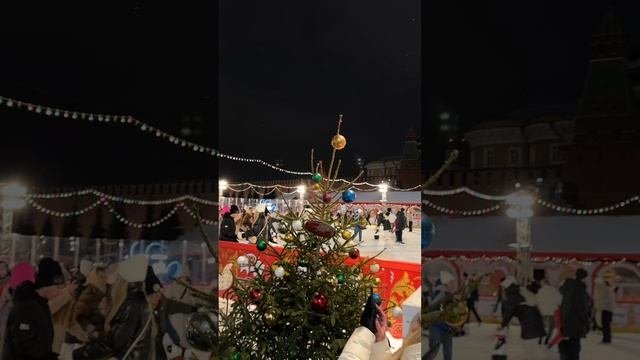 Первая поездка Василисы в Москву