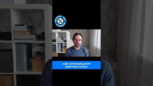 Кипрей или Иван-чай - в чем его сила? #кипрей #иванчай #копорскийчай #чай #русскийчай #shortsclip