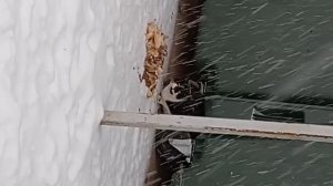 Начало нового года с добрых дел