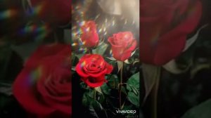 Кутман тан! Караоке Жолуксак кандай жакшы#Текст