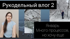 2 рукодельный влог // январь