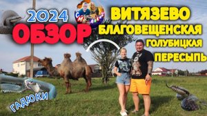 ОБЗОР СЕЗОНА 2024 #витязево #благовещенская #голубицкая #анапа #пересыпь