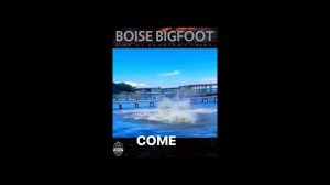 Встреча с неизвестным существом