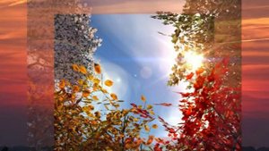 ENIGMA _ Following the sun