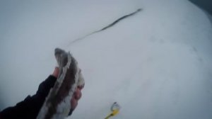 Как поймать крупных рыб в условиях соревнований ? | Рыбалка с Денисом Вихровым