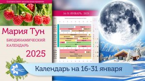 Календарь Марии Тун на вторую половину января 2025.