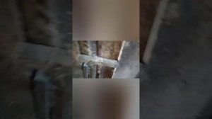 Это интересно!!!