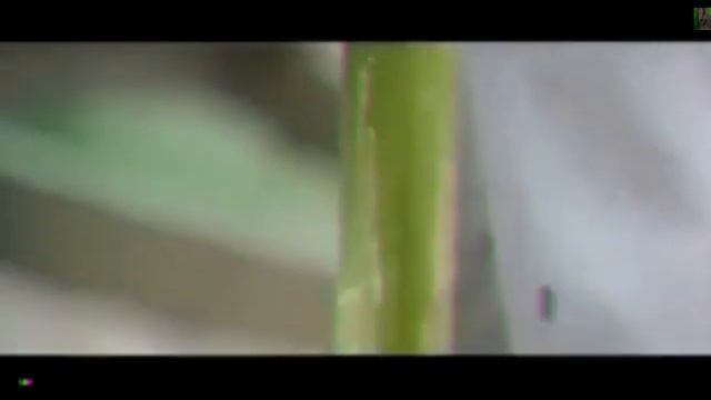 La Mano de la Muerte Tan Tao Liang, Jackie Chan Peliculas de accion HD смотреть онлайн