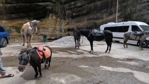 Чегемские водопады/Замок шато-Эркен/Нальчик/ Поездка в Кабардино-Балкарию.