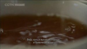Чай - история одного листа Серия 5 Время останавливается для чая Часть 2 (Age 0+)