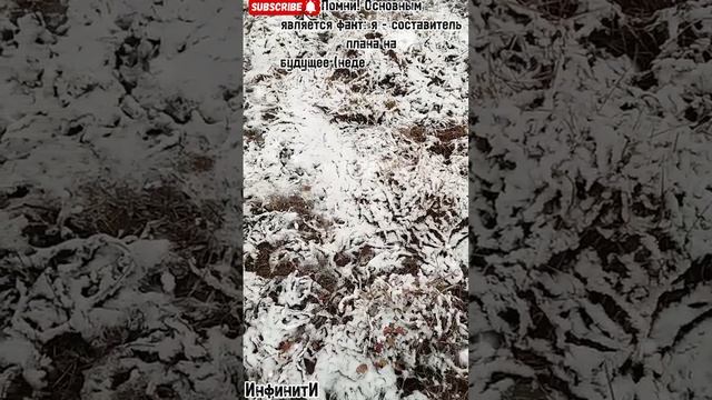 Не допускай плохих мыслей!