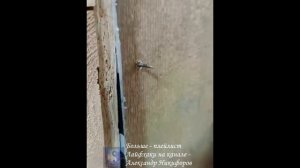 Лайфхак. Как изготовить надежное скрытое крепление для доски