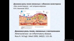 Атеросклероз Хронические формы ИБС Часть 1