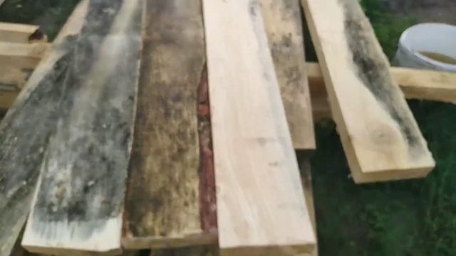 Самый экономный и быстрый способ спасти прелый лес, с помощью белизны. смотреть онлайн