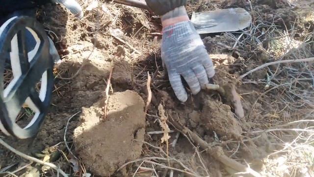 Коп монет. открытие сезона. смотреть онлайн