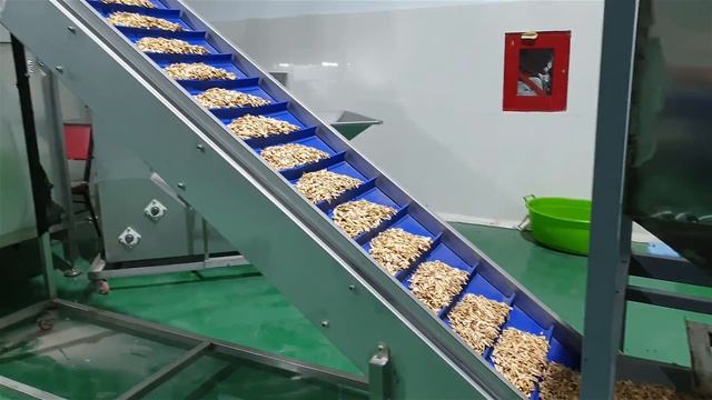 Nuts Roasting Machine - Peanut Roasting Machine - Sunflower Seeds Roasting Machine OS - 1000
