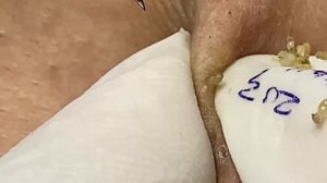 Enjoy Every Day With The Best Video Loan Nguyen Spa Official  2737