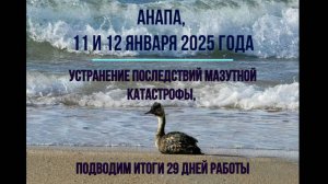 Анапа, 11 и 12 января 2025 года, новости с пляжей, птицы и мазут