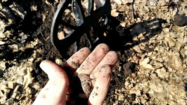 КОП В ЛЕСУ. Находки на дороге. Эквинокс 800 смотреть онлайн