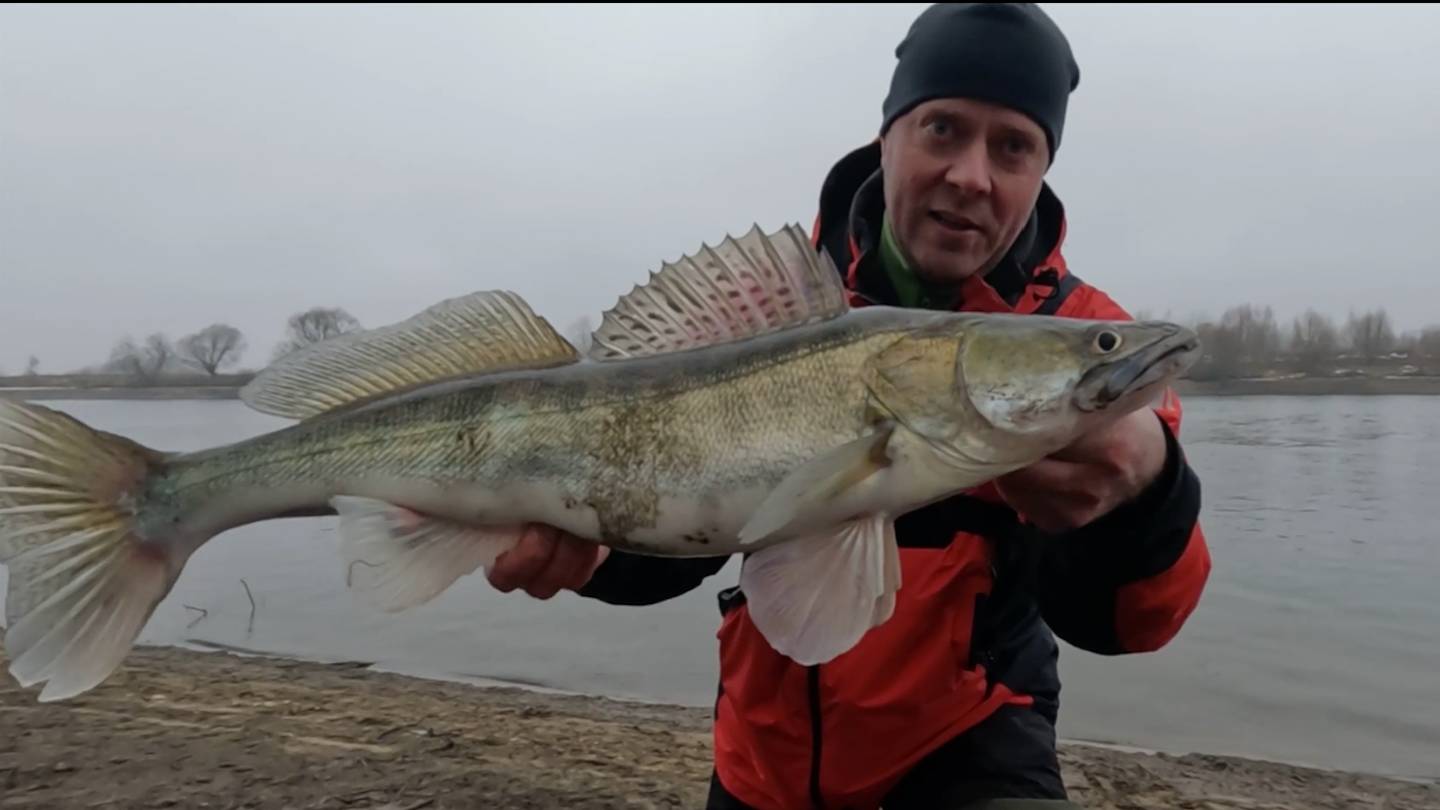ДЖИГ! Трудовые рыбалки в январе, рыбалка в оттепель! Москва-река, Зимний спиннинг! смотреть онлайн