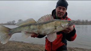 ДЖИГ! Трудовые рыбалки в январе, рыбалка в оттепель! Москва-река, Зимний спиннинг!